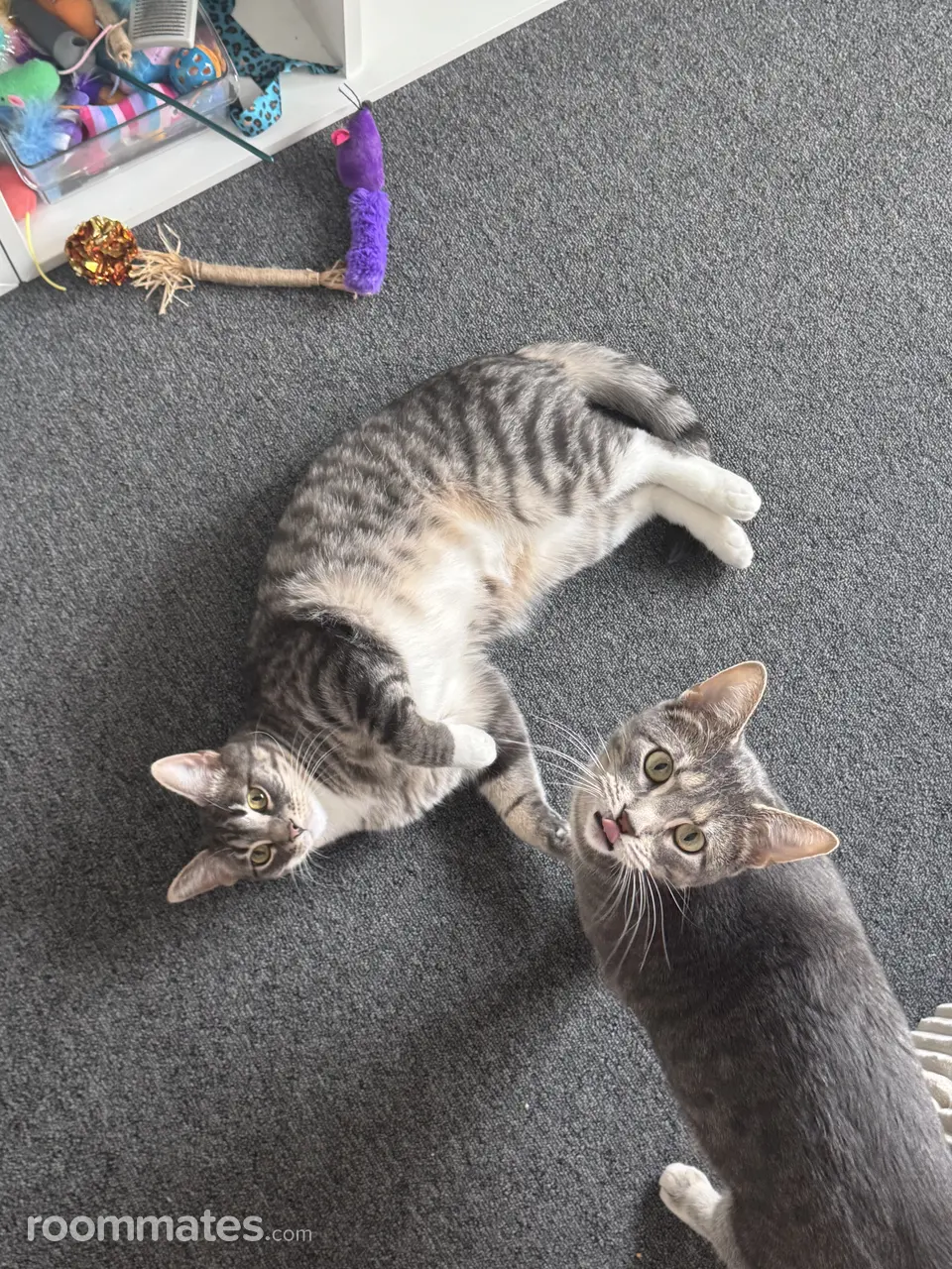 Profile photo 4 of 6