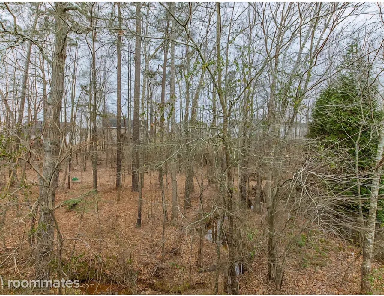 Profile photo 7 of 8