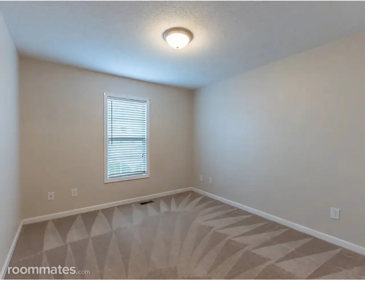 Profile photo 4 of 8