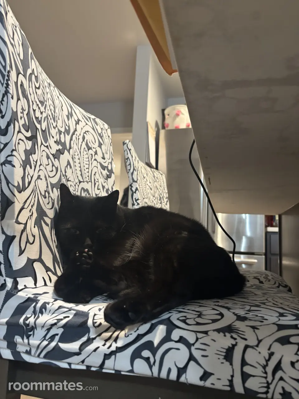 Profile photo 2 of 4