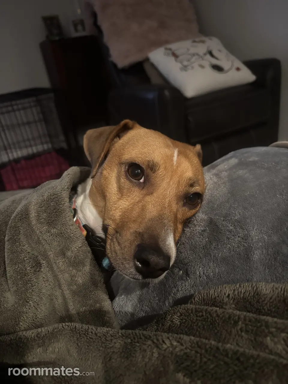 Profile photo 4 of 4