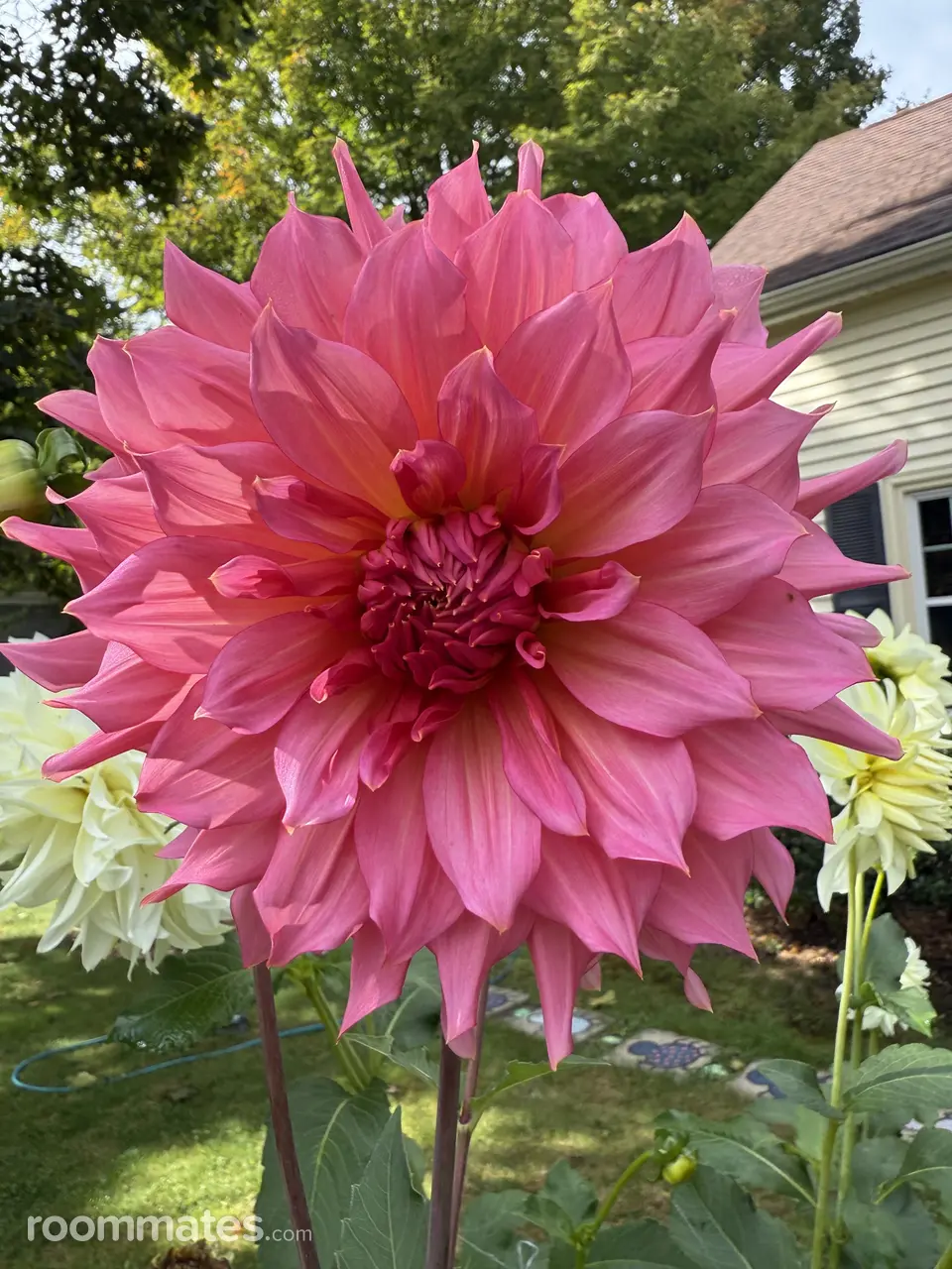 Profile photo 8 of 10