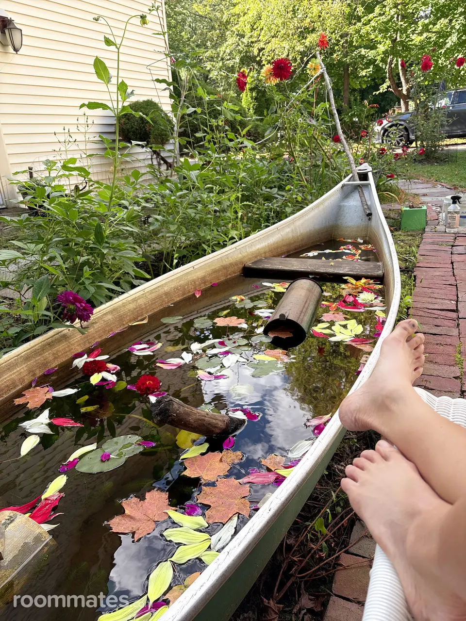 Profile photo 9 of 10