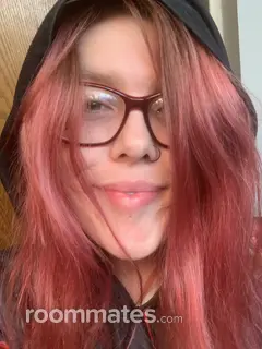 Roommate looking Elgin, IL, $800