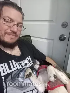 Roommate looking Lakewood, WA, $1200