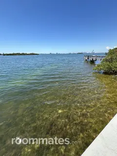 Roommate looking North Miami, FL, $1300