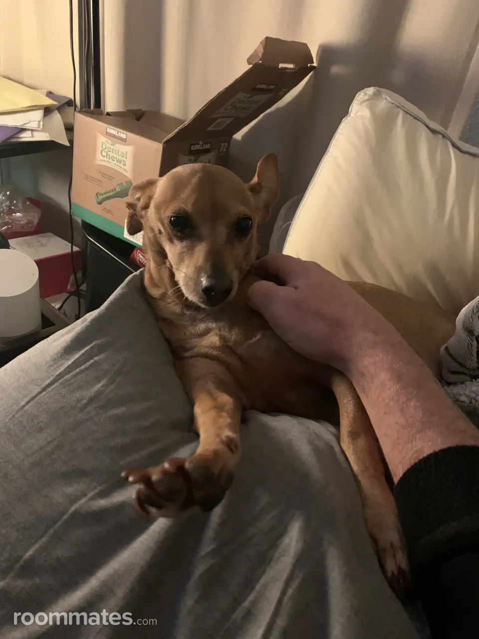 Profile photo 5 of 6