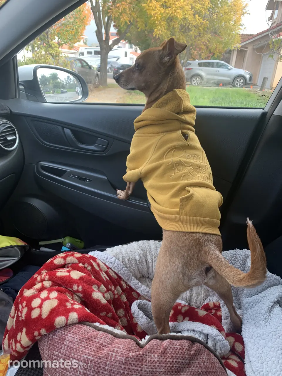 Profile photo 6 of 6