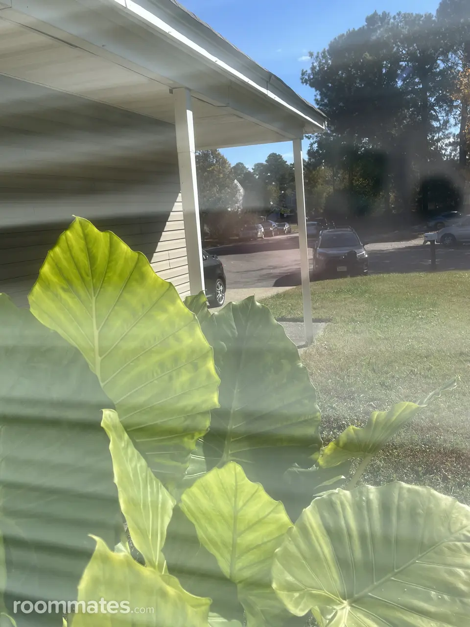 Profile photo 2 of 5