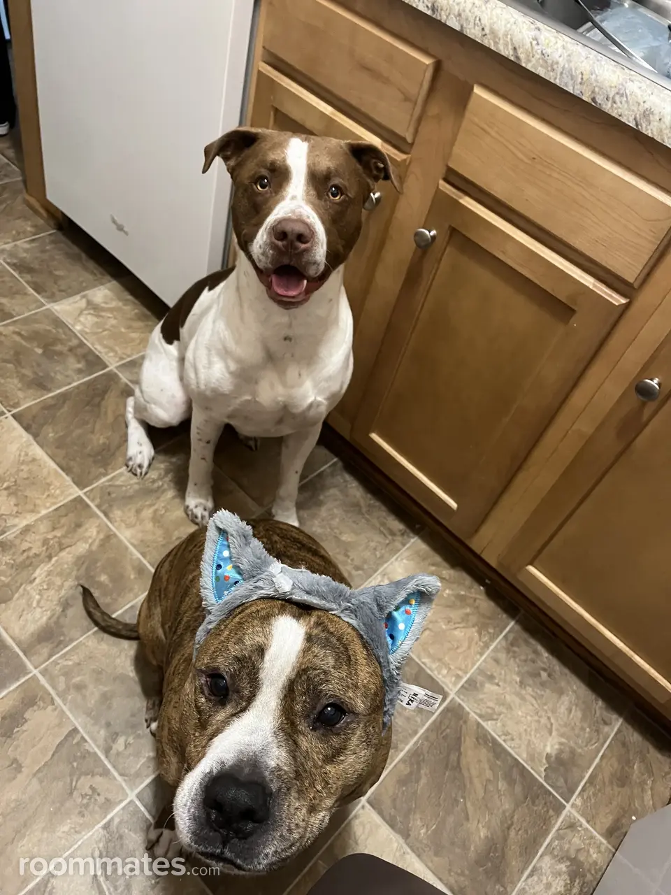 Profile photo 1 of 5