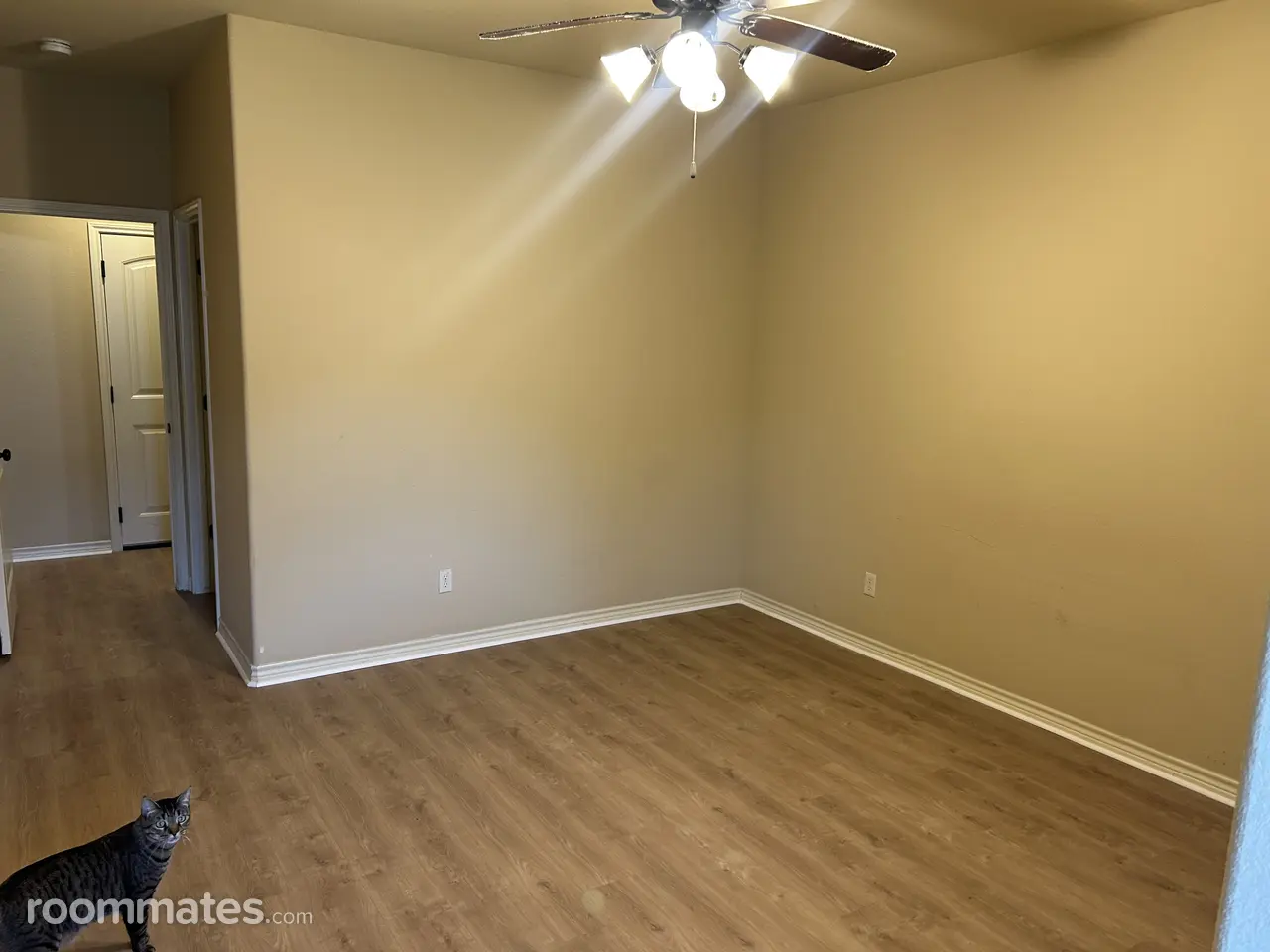 Profile photo 3 of 4