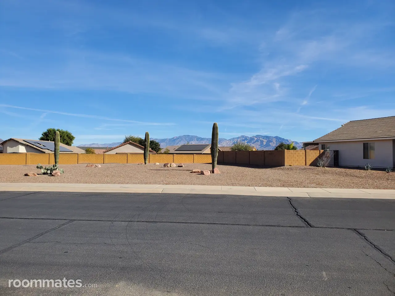 Profile photo 6 of 13