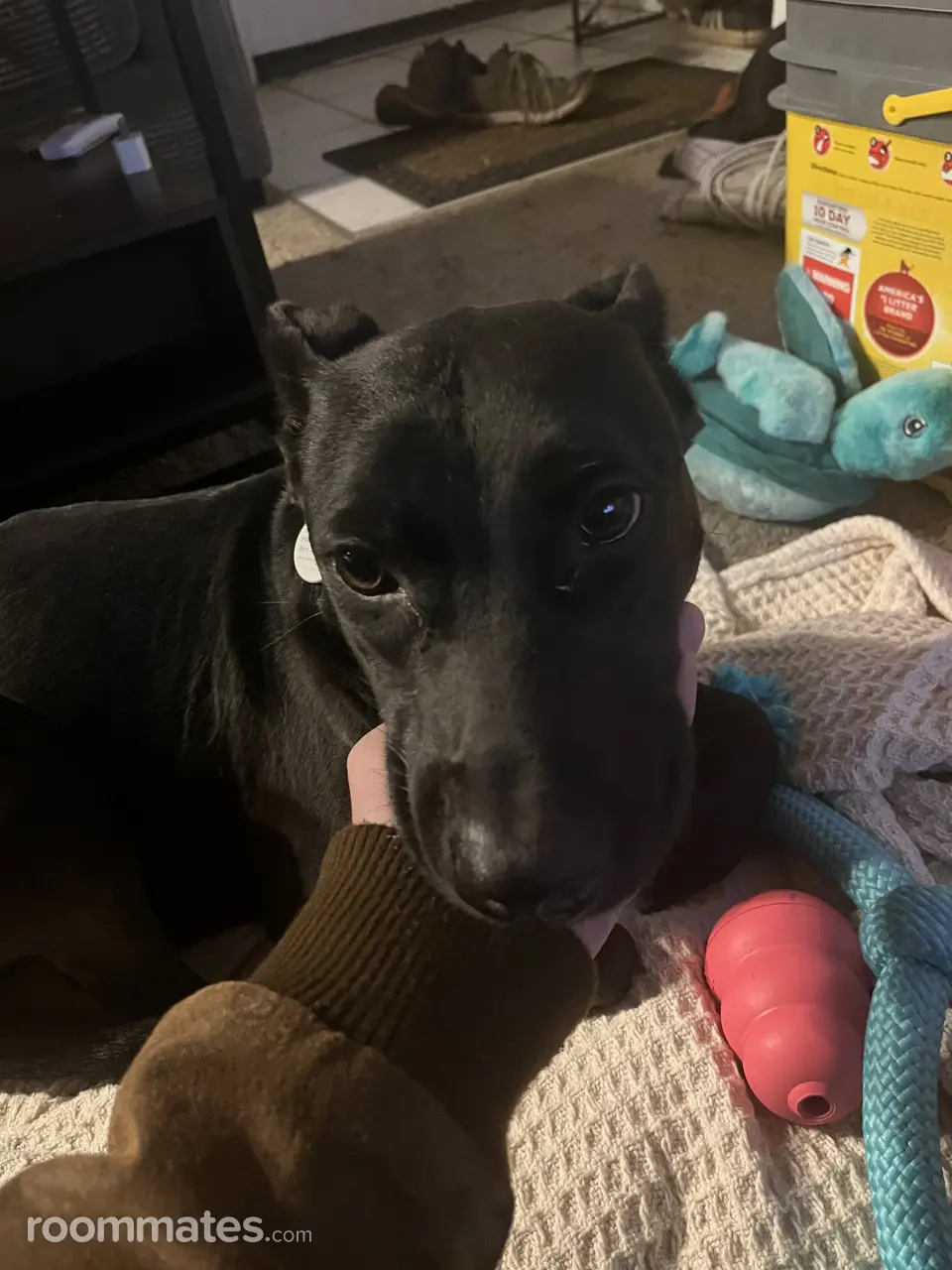 Profile photo 7 of 9