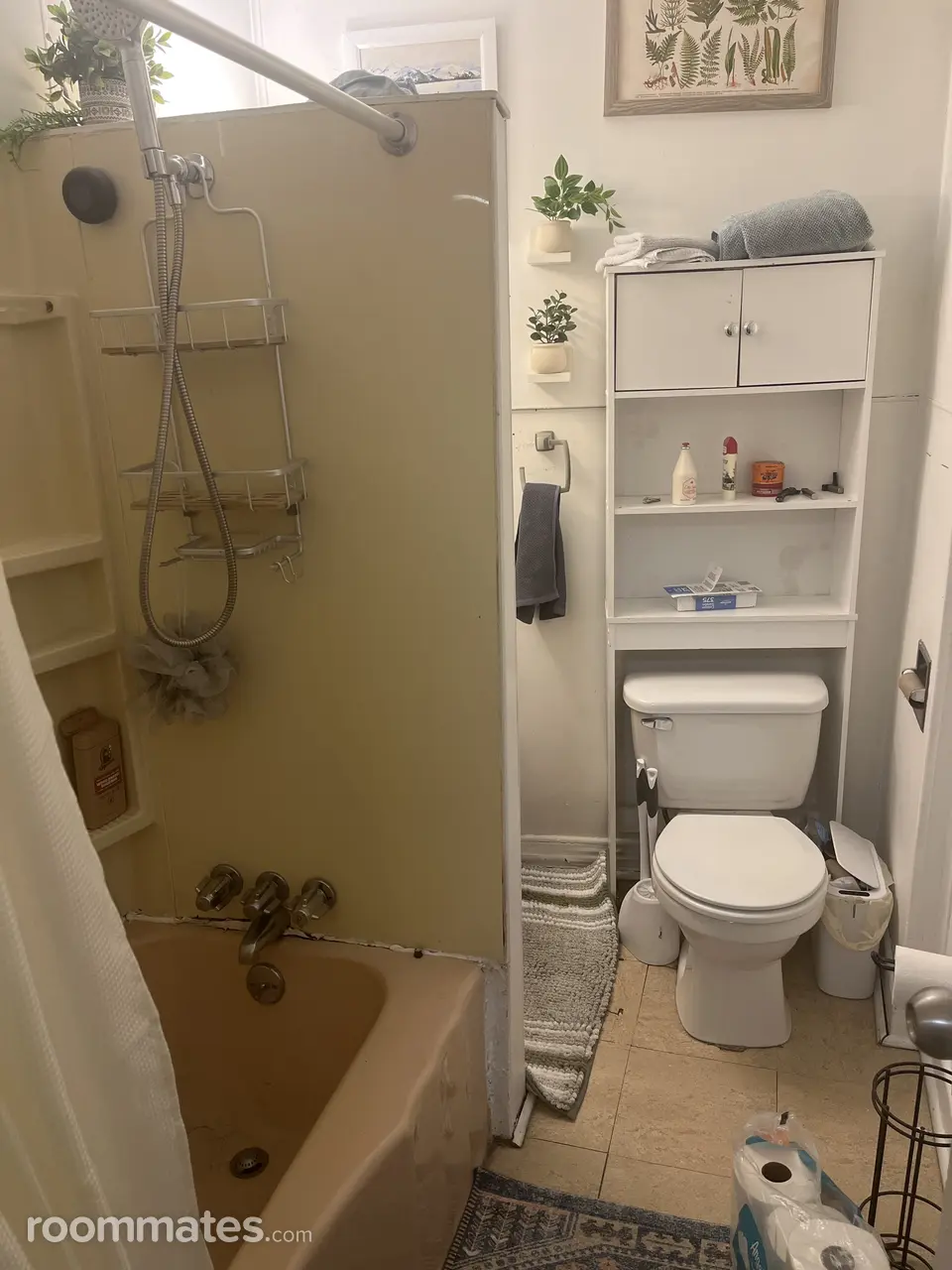 Profile photo 5 of 9