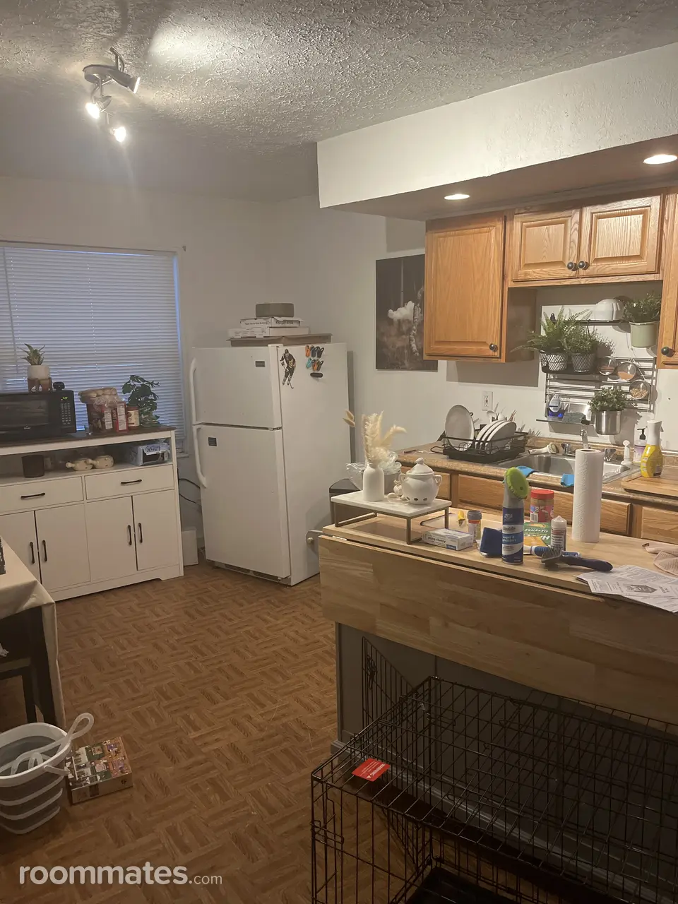 Profile photo 3 of 9