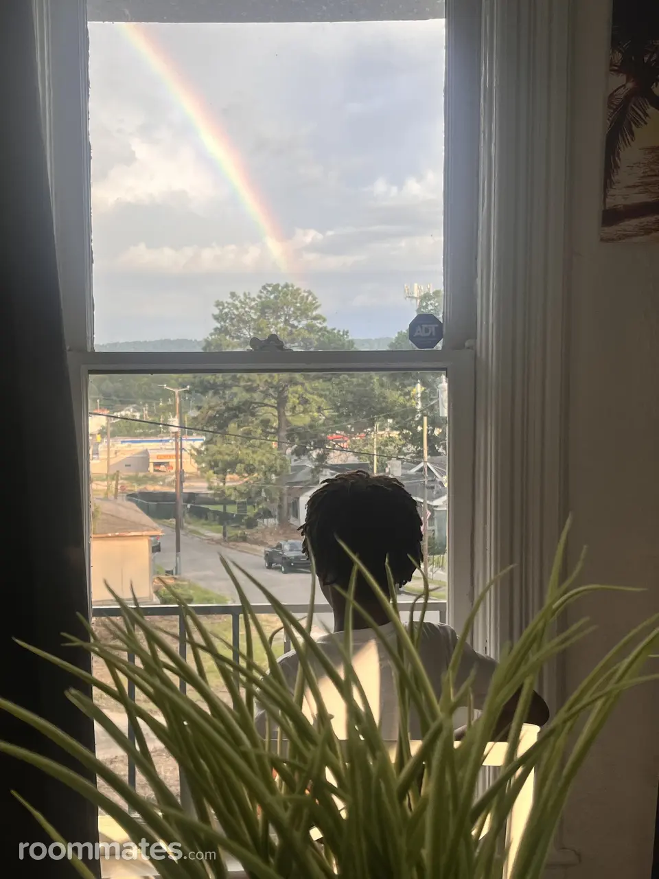 Profile photo 10 of 13