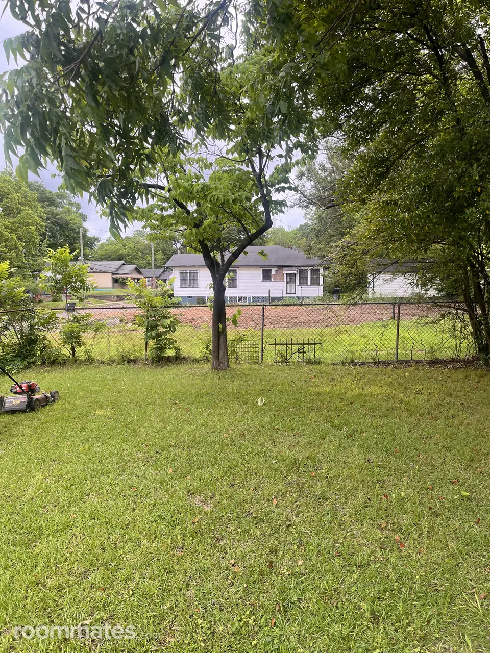 Profile photo 12 of 13