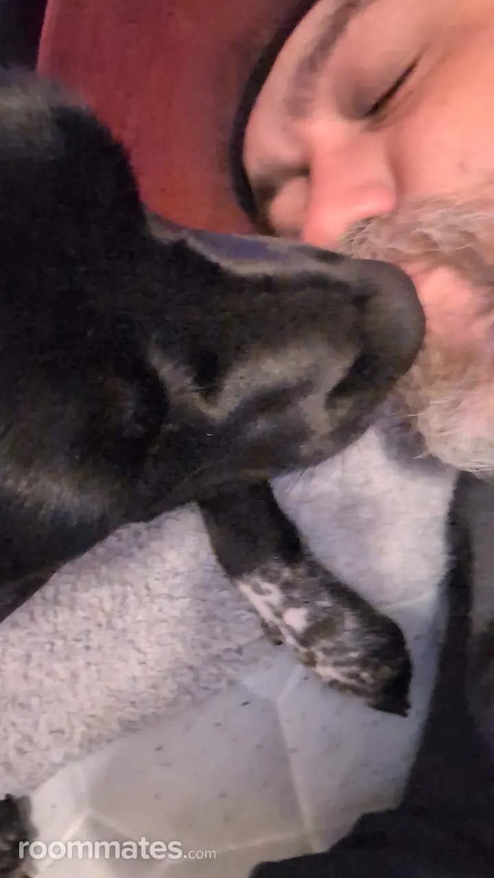 Profile photo 2 of 2