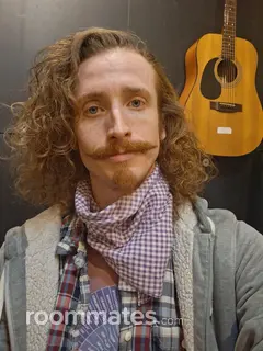 Roommate looking Greenville, SC, $600