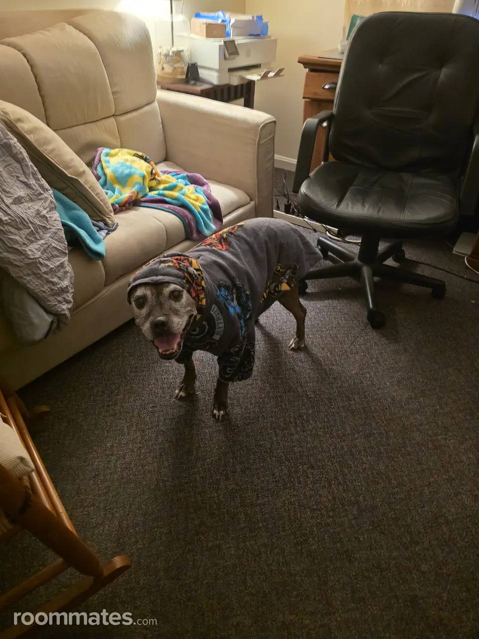 Profile photo 2 of 2