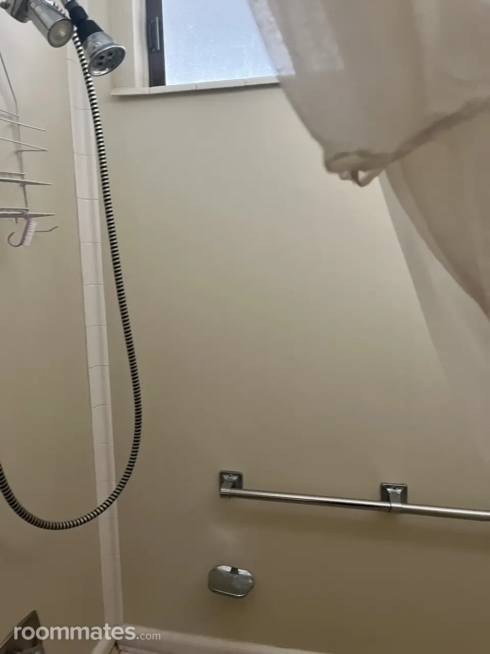 Profile photo 9 of 11