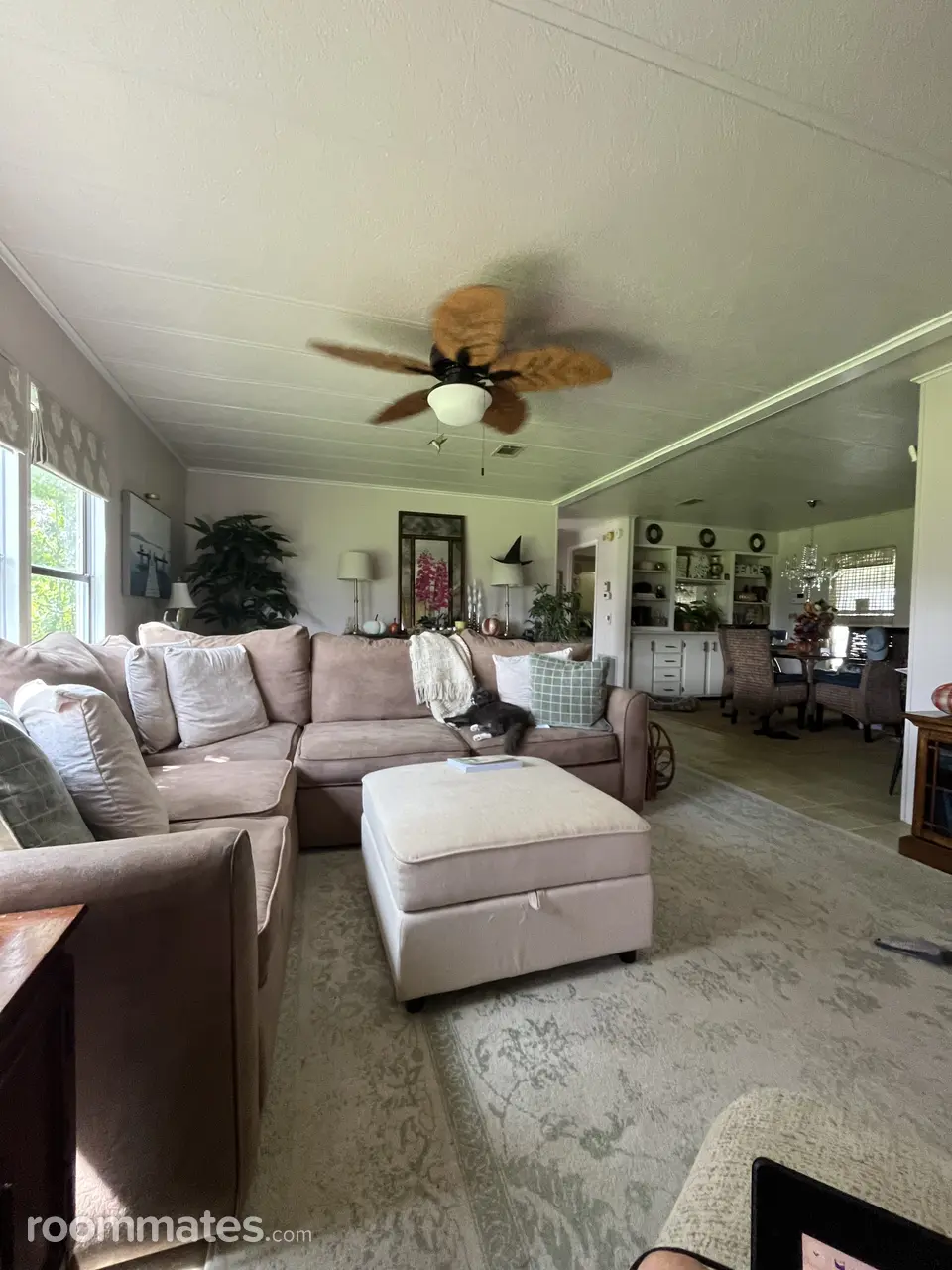 Profile photo 5 of 11