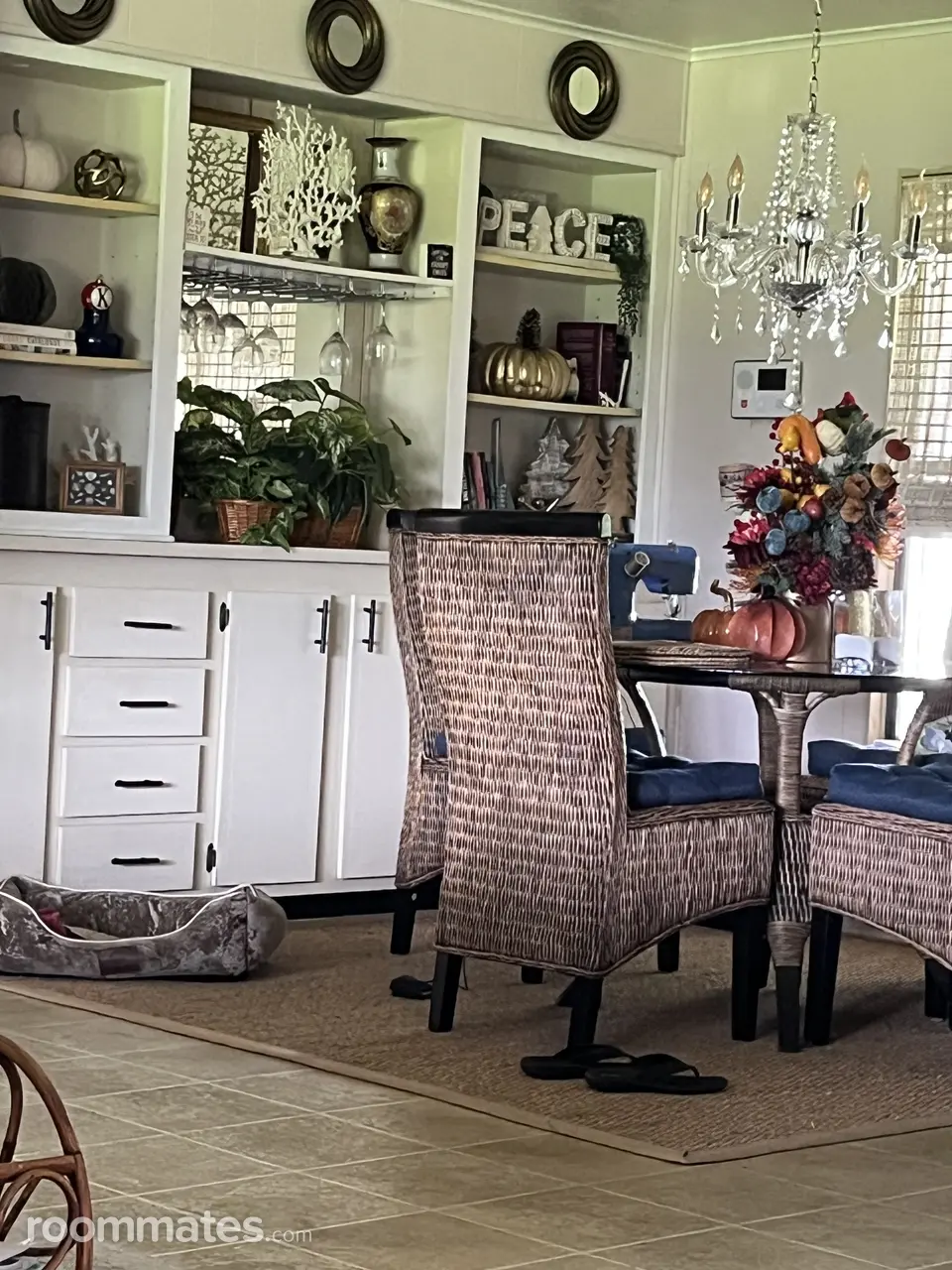 Profile photo 7 of 11