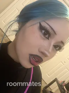 Roommate looking Springdale AR, $800