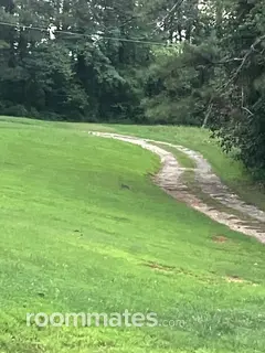 Room for rent in Ball Ground, GA $650, house