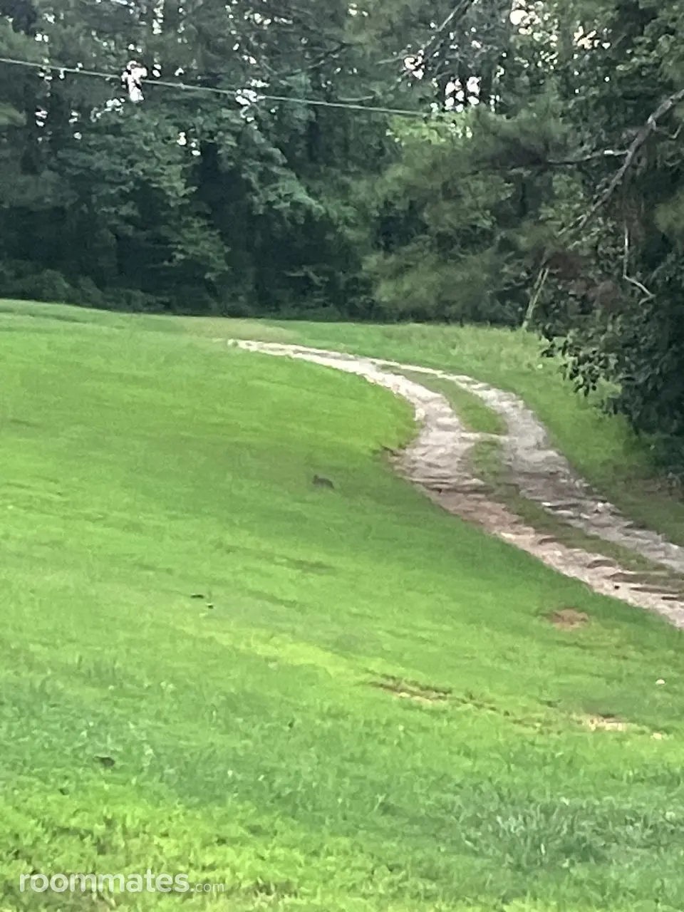 Profile photo 1 of 7