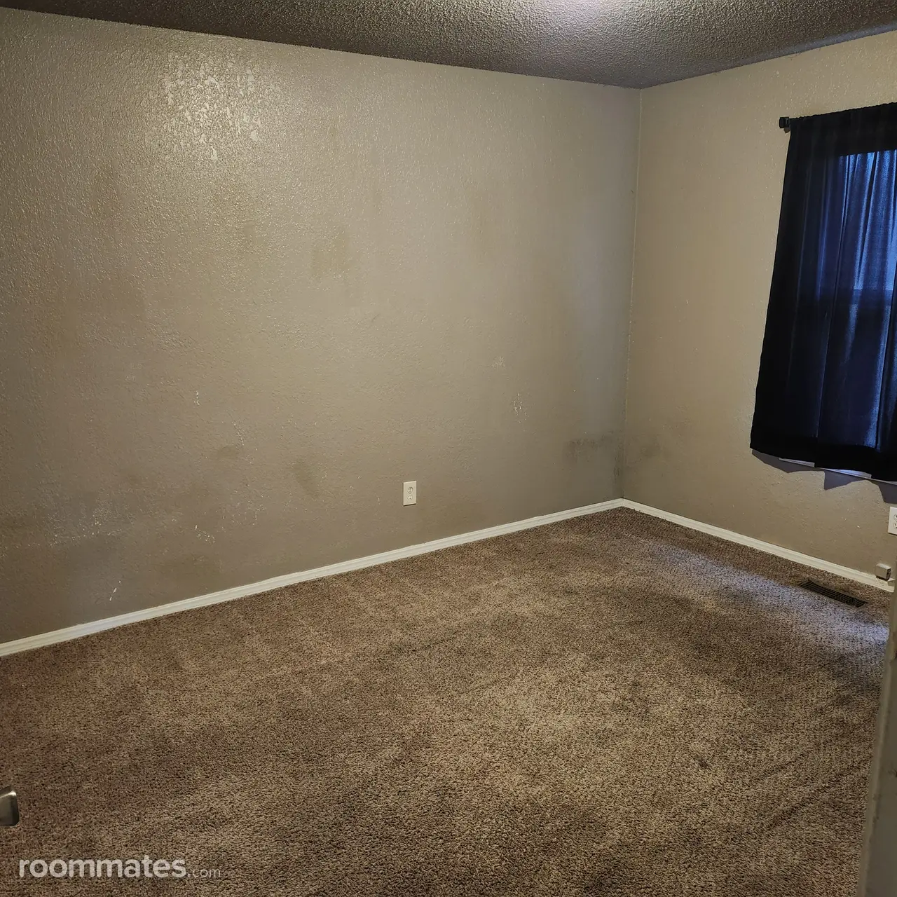 Profile photo 2 of 3