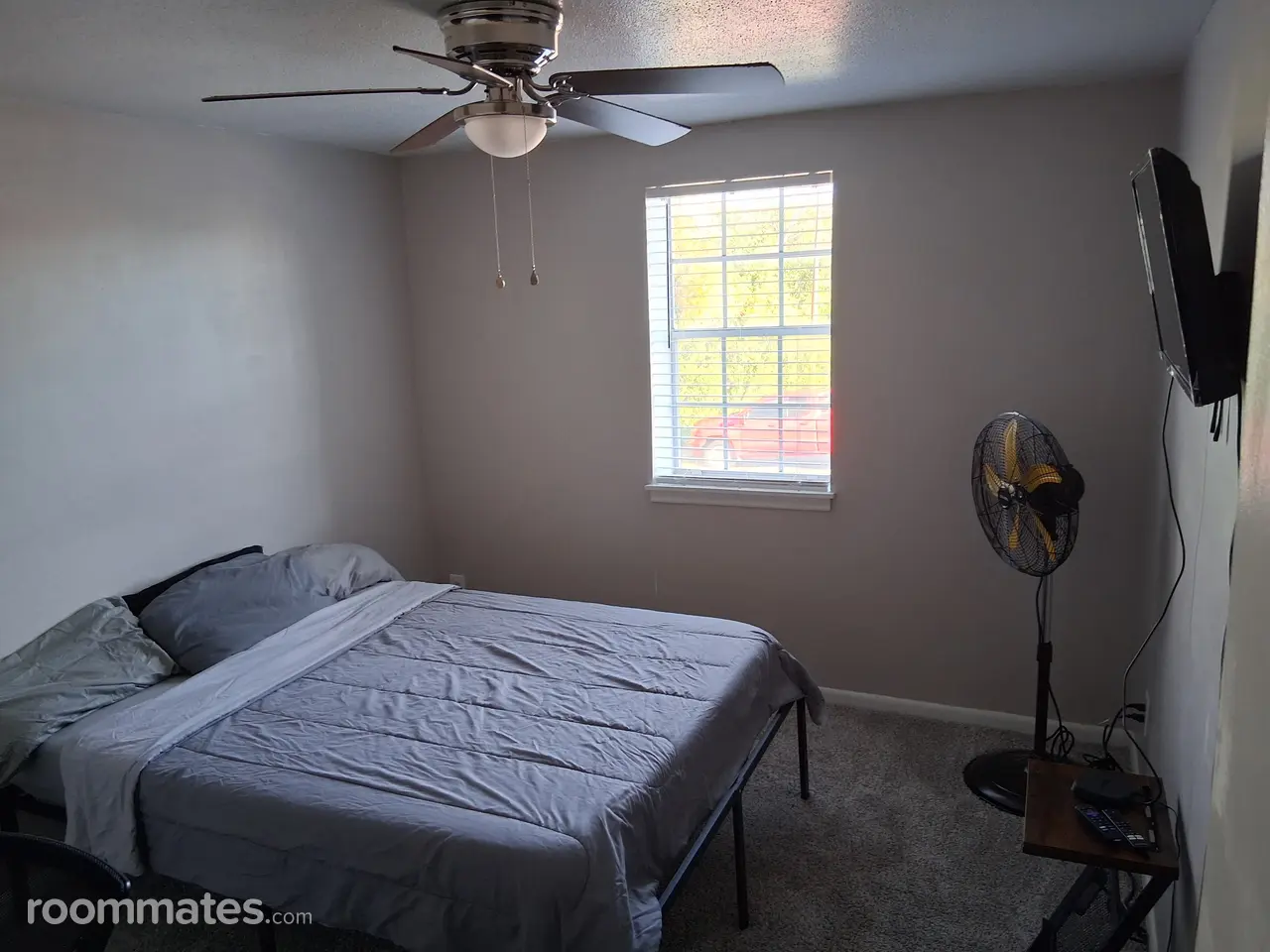 Profile photo 4 of 11