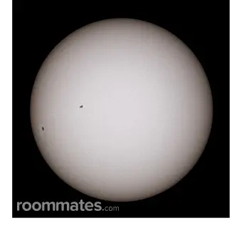 Room for rent in Orange Park, FL $750, house