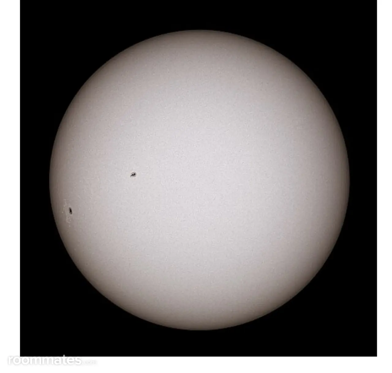 Profile photo 3 of 3