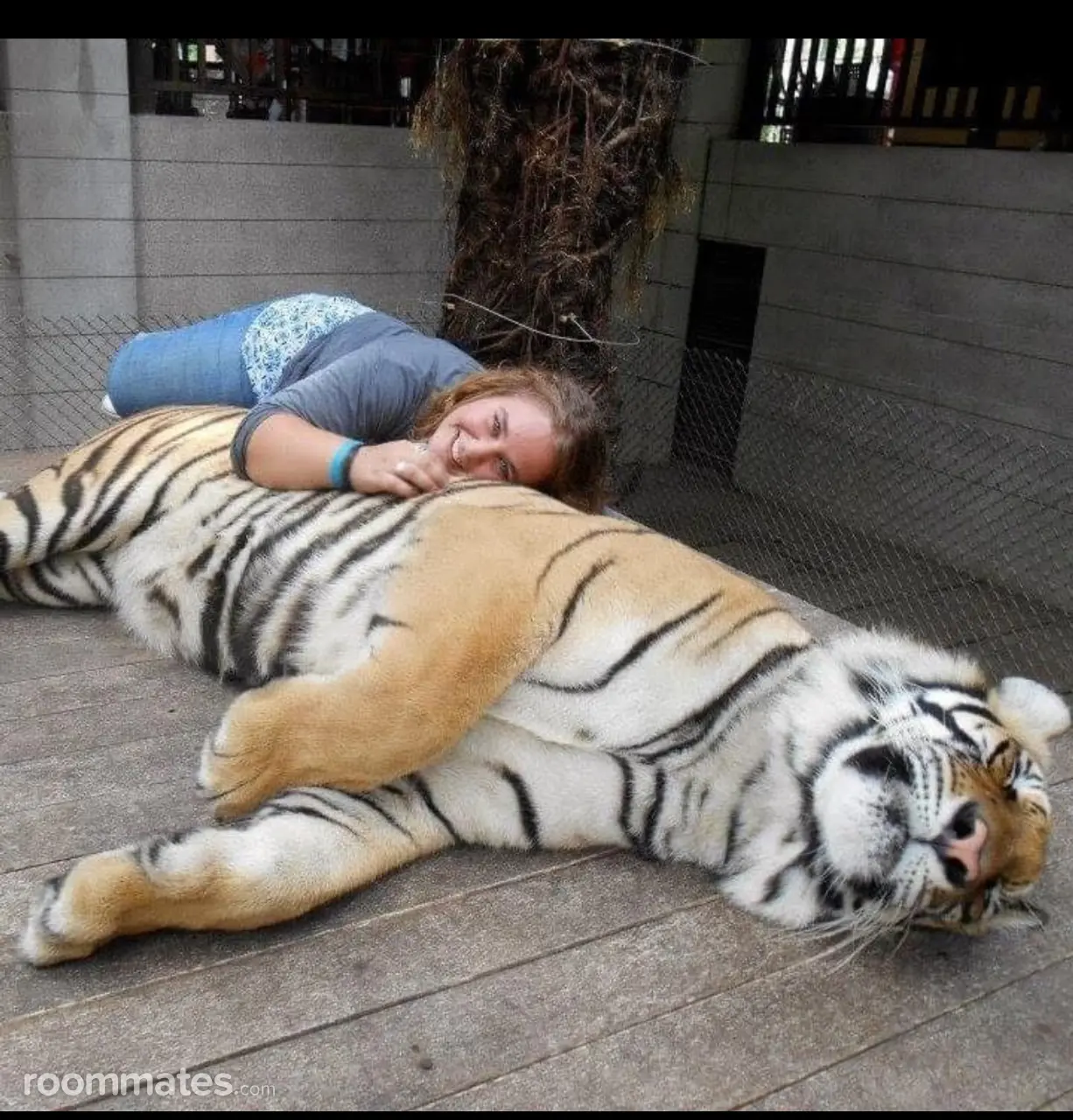 Profile photo 3 of 5