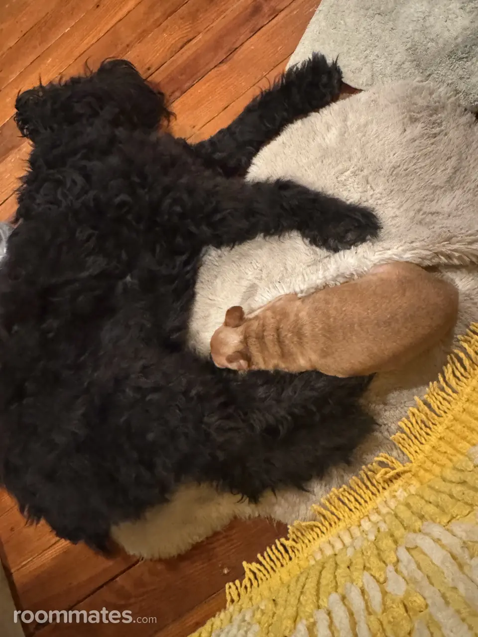 Profile photo 6 of 9