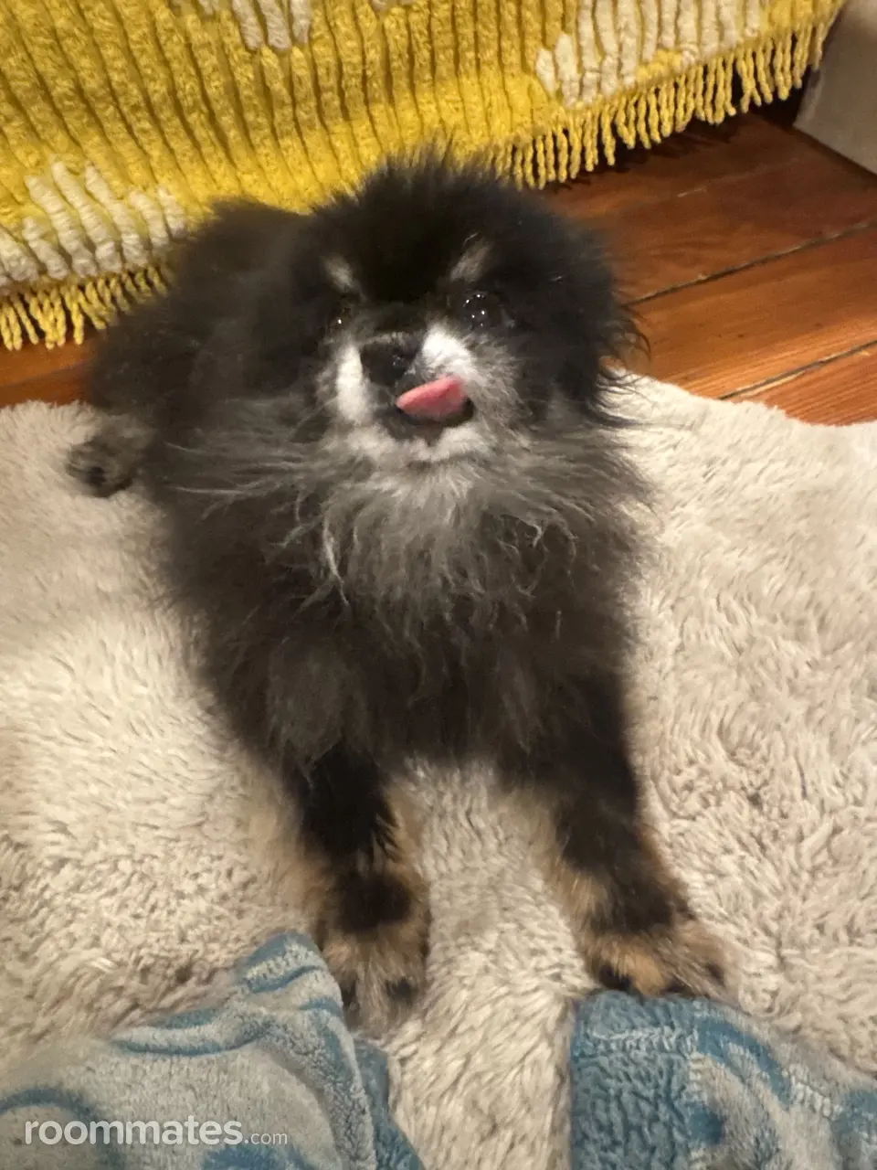 Profile photo 7 of 9