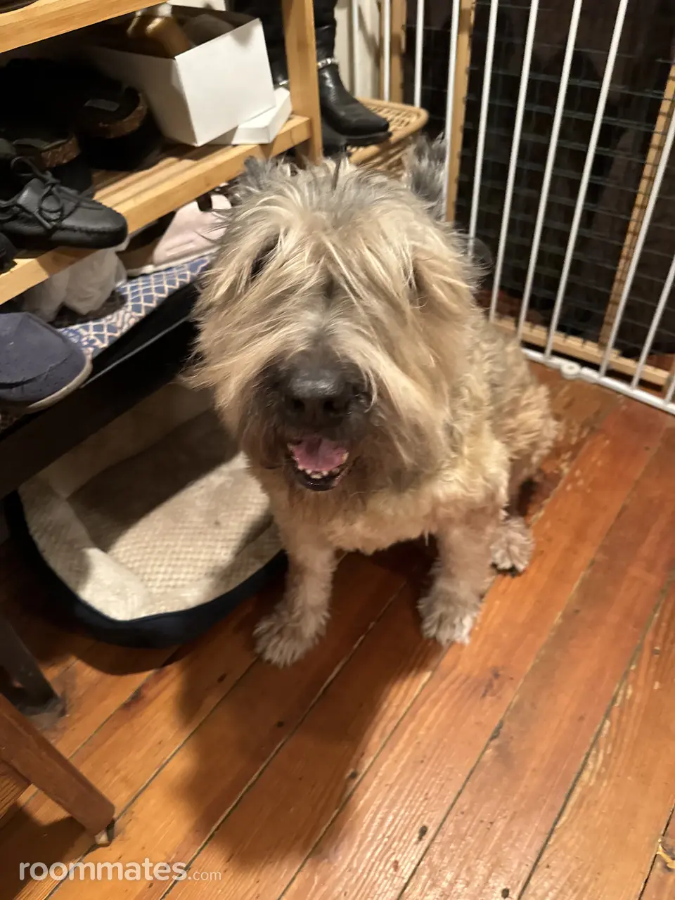 Profile photo 8 of 9