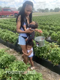 Roommate looking Sebring, FL, $200