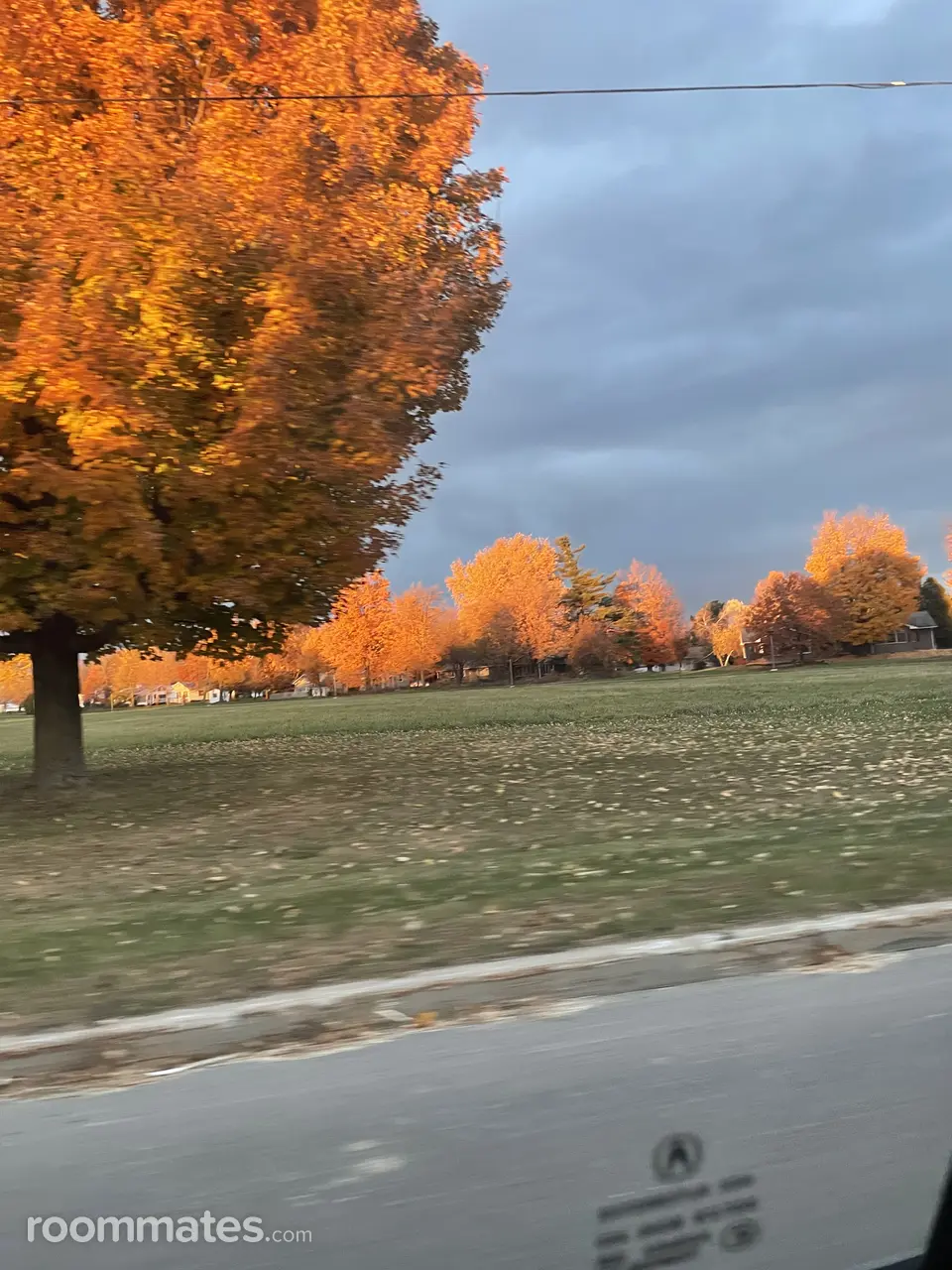 Profile photo 1 of 1