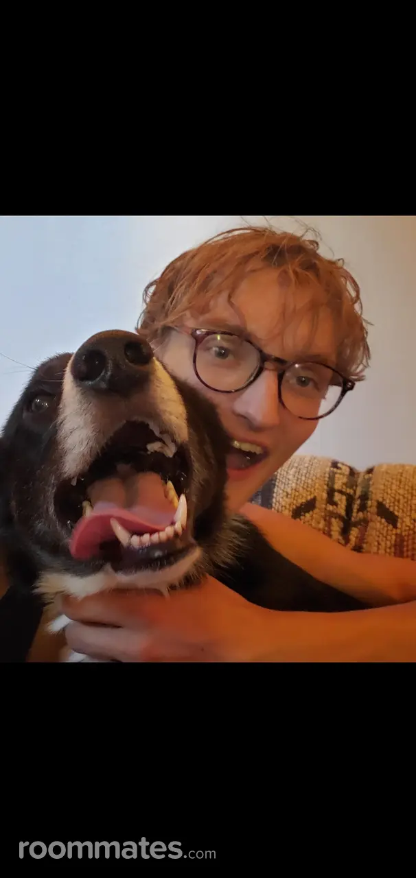 Profile photo 7 of 7