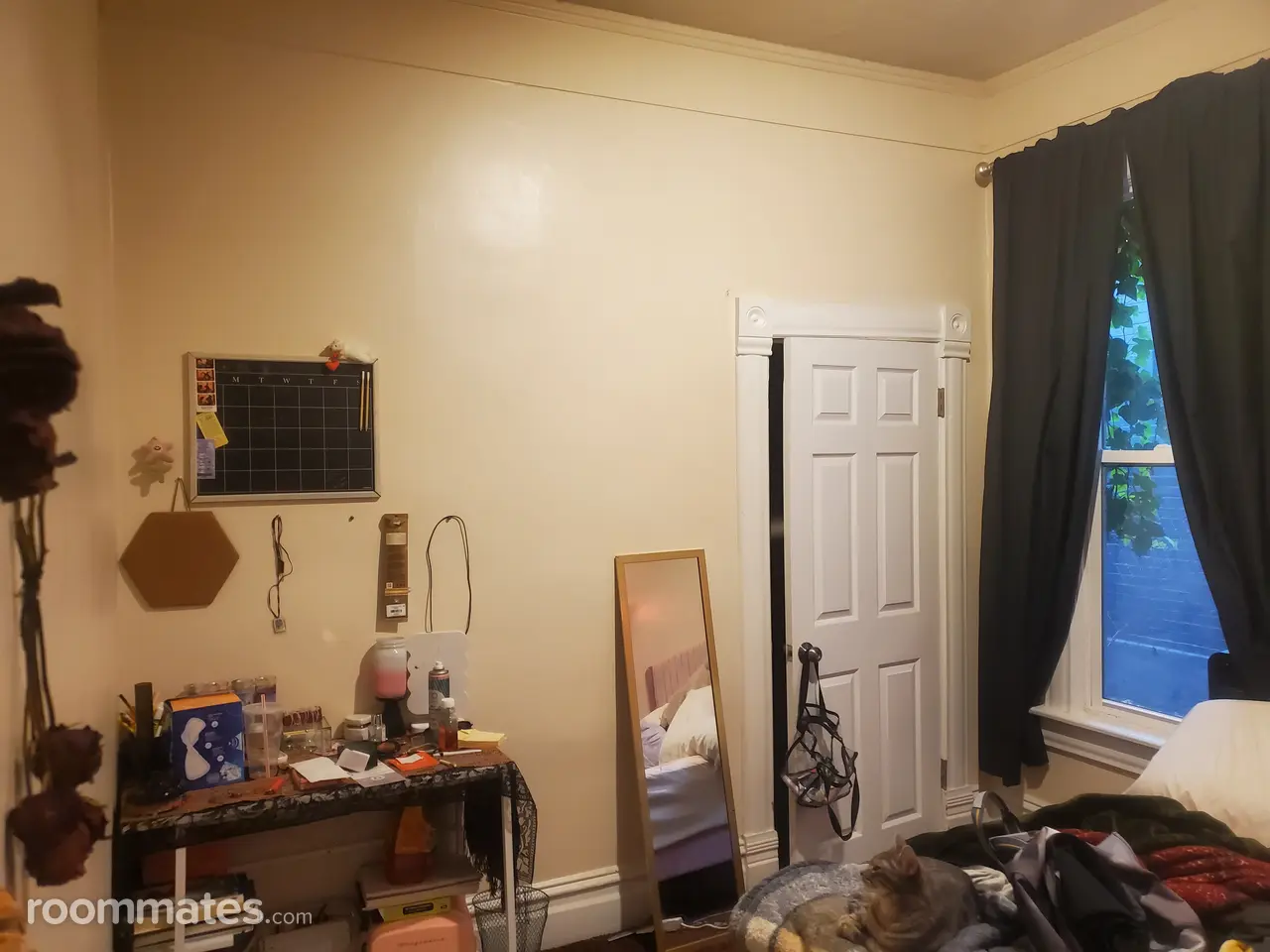 Profile photo 4 of 7