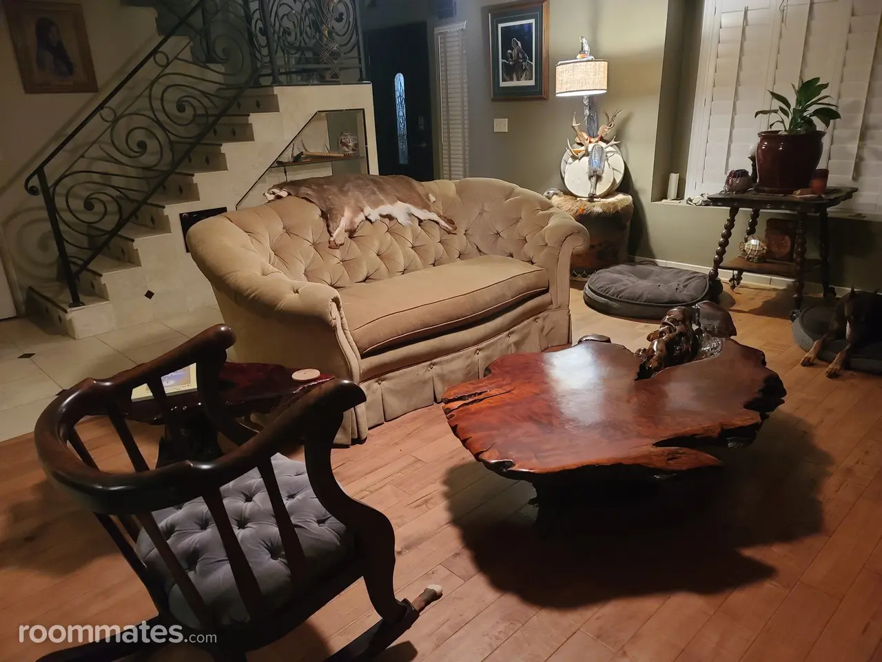 Profile photo 4 of 5