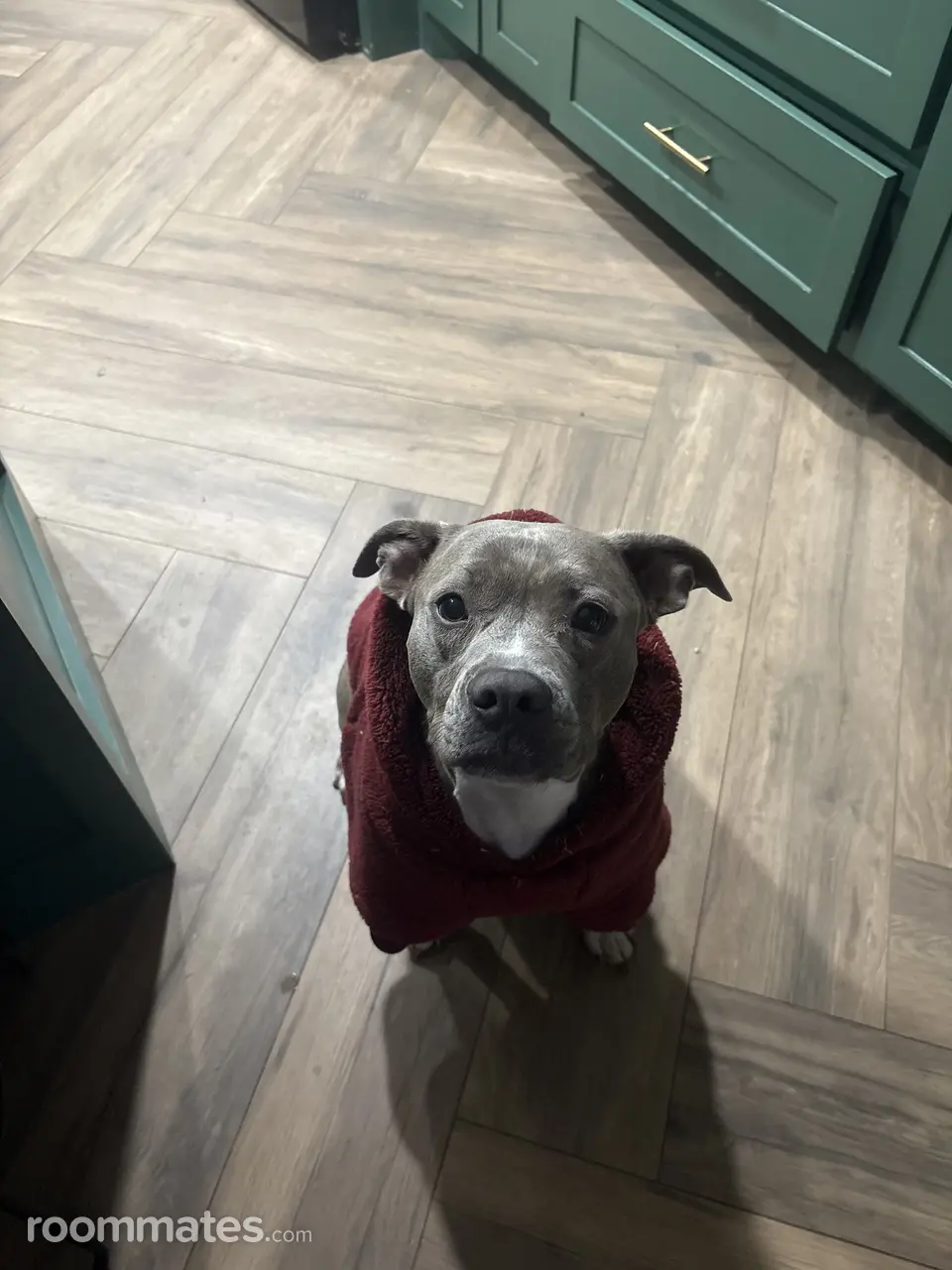 Profile photo 14 of 15