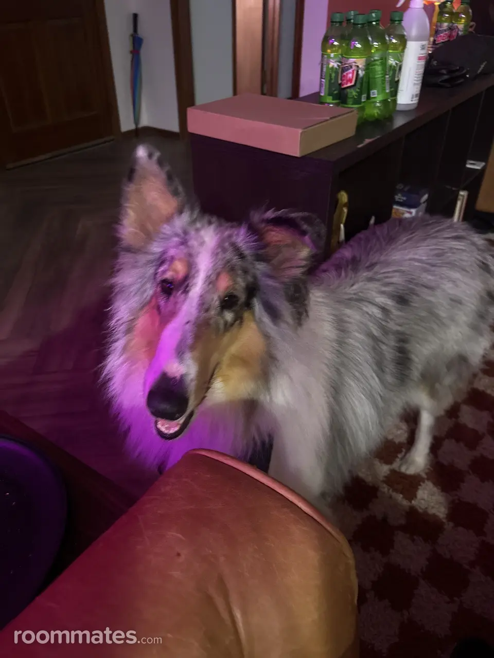 Profile photo 9 of 15