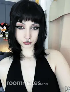 Roommate looking Orange Park, FL, $700