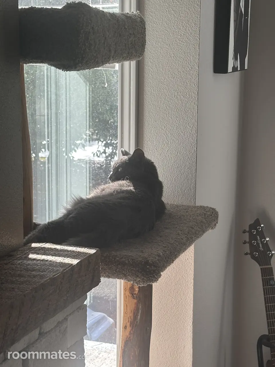 Profile photo 5 of 6