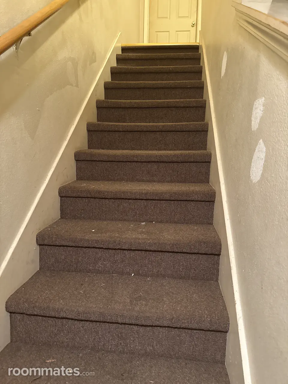 Profile photo 6 of 17