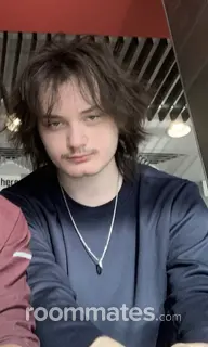 Roommate looking Channahon, IL, $1000