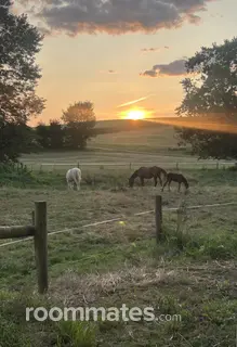 Room for rent in Willow Street, PA $1000, house